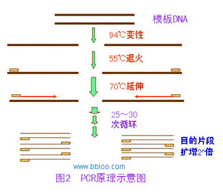NG官网 - 相信品牌的力量
